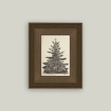 5x7 Vintage Pine Tree Framed Art