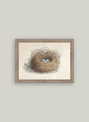 12x16 Blue Eggs in a Nest Framed Antique Art