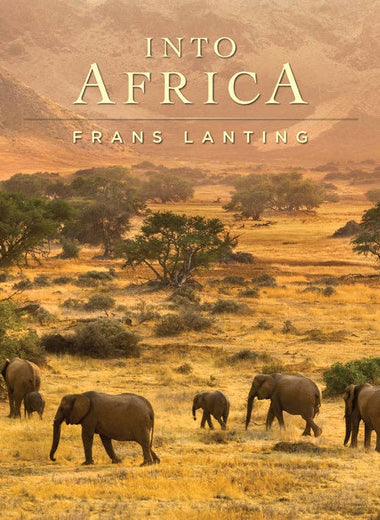 Into Africa