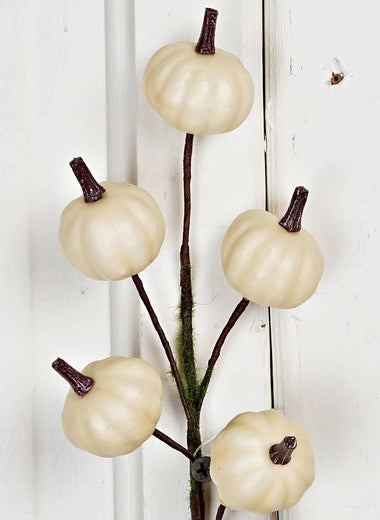 11" Mini Pumpkin Twiggy Pick-Cream