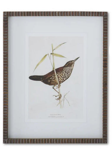 19.75" Bird Print w/ Brown Ribbed Wood Frame