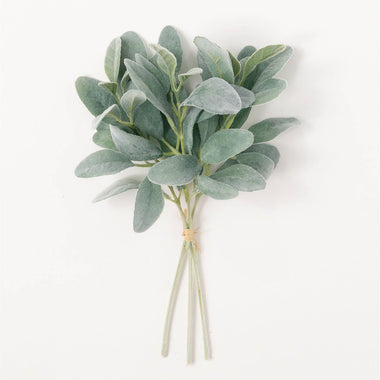 14" Lambs Ear Bundle