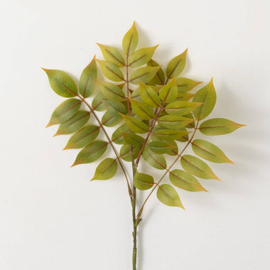 24" Green Yellow Ruscus Spray