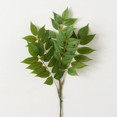 25" Green Ruscus Spray