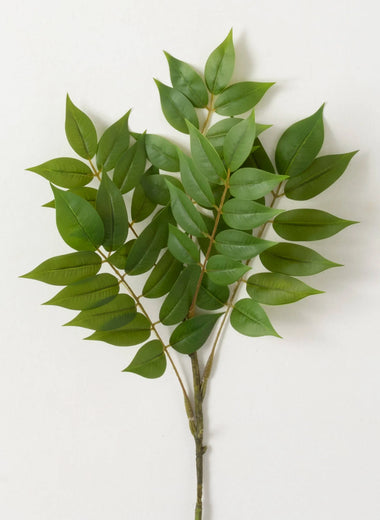25" Green Ruscus Spray
