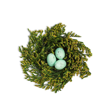 Robin's Egg Nest