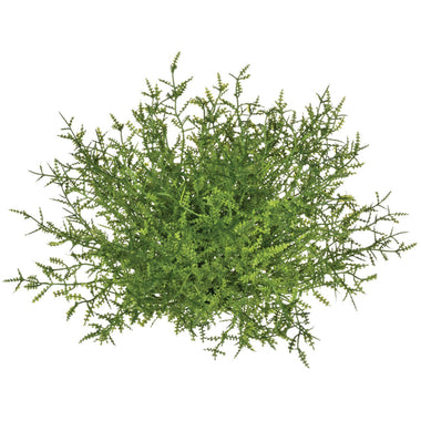 Feather Fern Half Orb