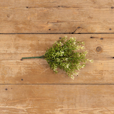 13" New England Boxwood & Berries Bush