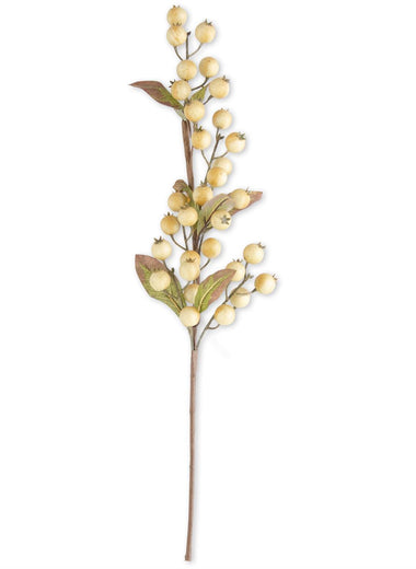 32" Cream Rosehip Stem