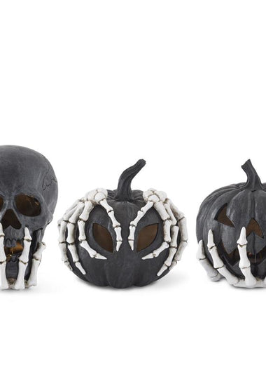 Black LED Jack O' Lantern & Skull w/ Timer