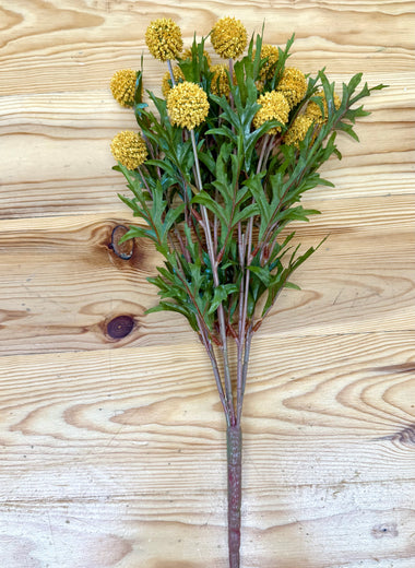 19" Thistle Bundle