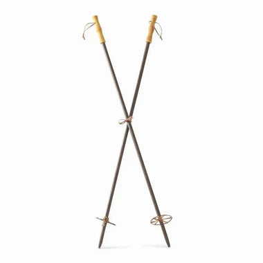 Pair of Ski Poles