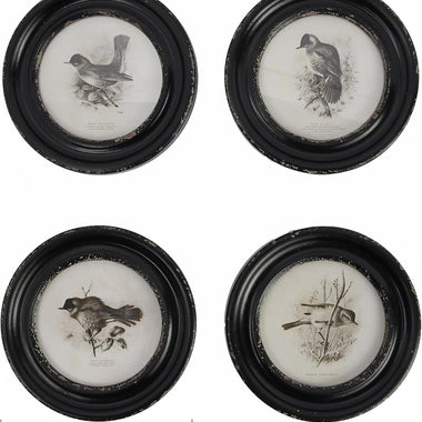 9.5x9.5 Bird Print in Distressed Wood Frame