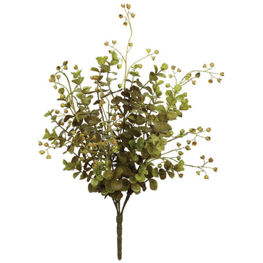 14" Eucalyptus Plant