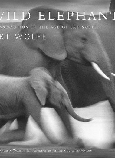Wild Elephants