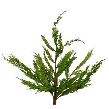 24" Real Touch Western Red Cedar Pick