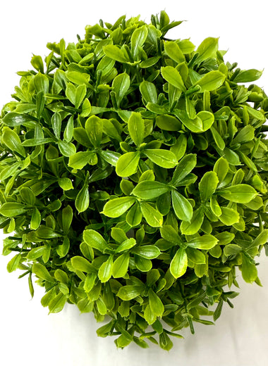 6" Boxwood Half Ball