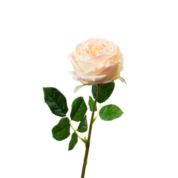 Real Touch 17" English Rose