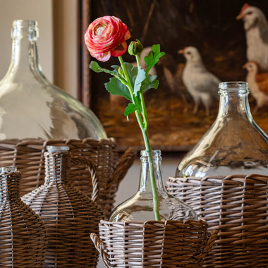 19" Estate Garden Ranunculus Stem