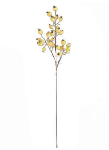 32" Cream Rosehip Stem