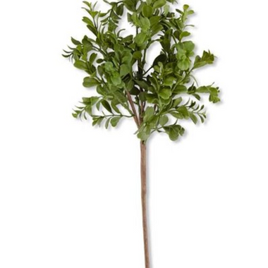 18" Real Touch Boxwood Pick