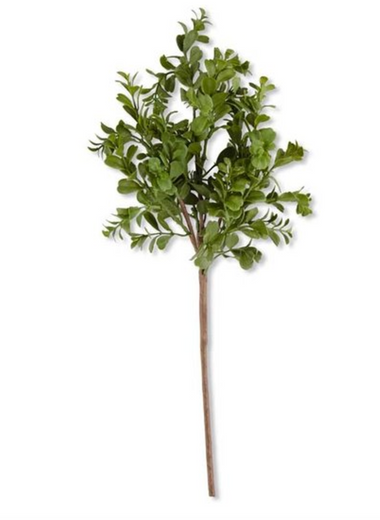 18" Real Touch Boxwood Pick