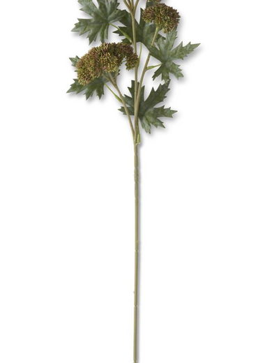 17" Dark Green Sedum Stem