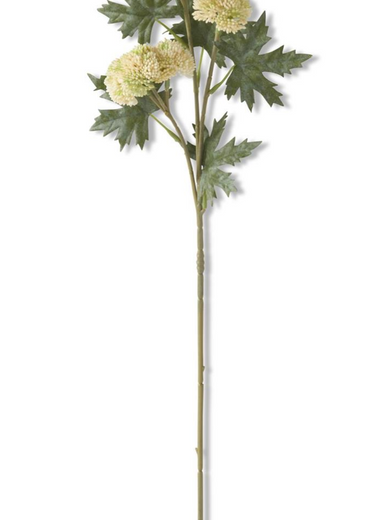 17" Cream & Green Sedum Stem