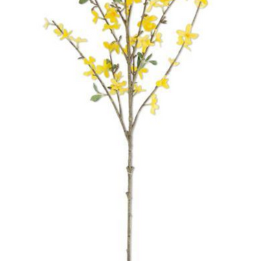 44" Forsythia Spray