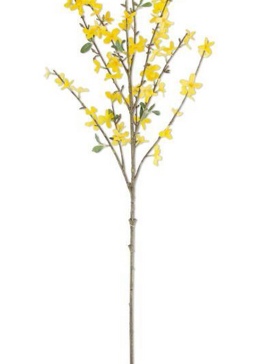44" Forsythia Spray