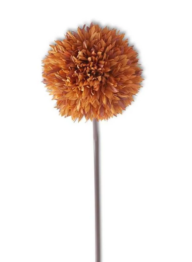 26" Autumn Allium