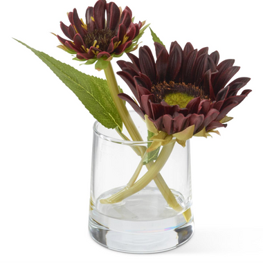 6.5" Burgundy Real Touch Sunflower in Glass Vase