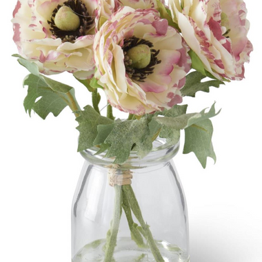 White with Pink Ranunculus in Glass Vase 6.75 Inch