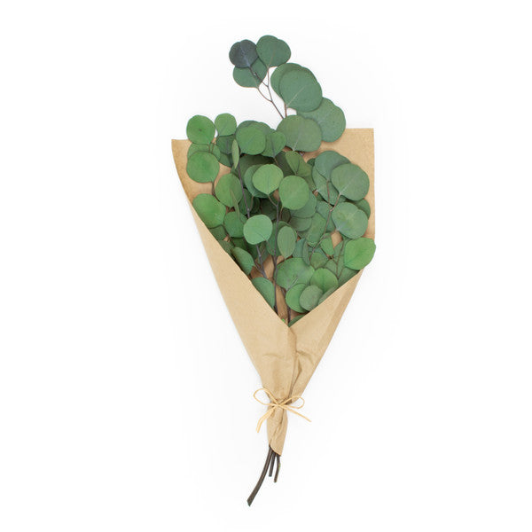 Preserved Silver Dollar Eucalyptus in Kraft Paper