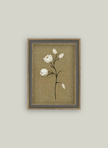 4x6 Tulip Stem Framed Art