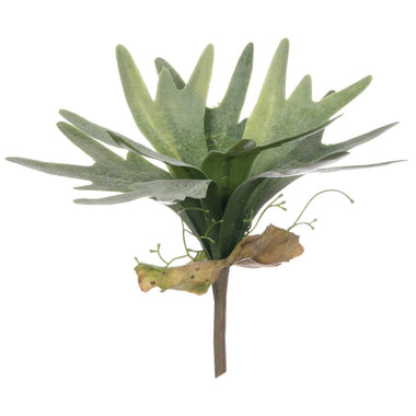 9.5" Staghorn Fern Spray