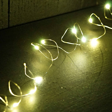 LED String Light with 12 Warm White Lights