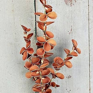 20in. Fall Snapdragon Leaves Spray