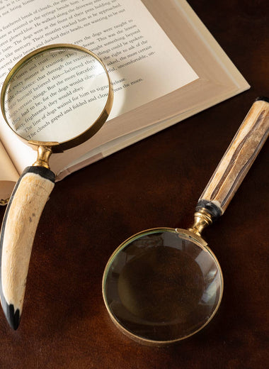 Horn Handle Magnifying Glass