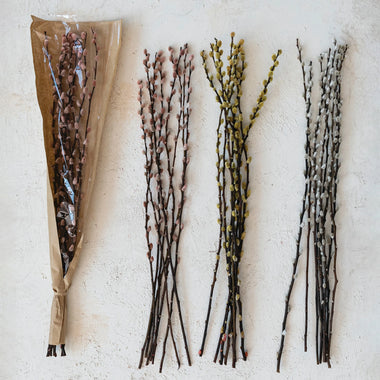 29.5" Dried Natural Pussy Willow Bunch