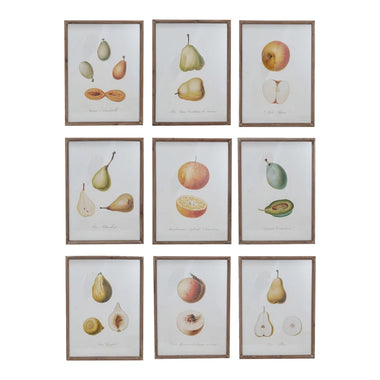 12x16 Vintage Reproduction Fruit Art Prints