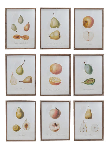12x16 Vintage Reproduction Fruit Art Prints