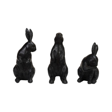 Black Rabbit