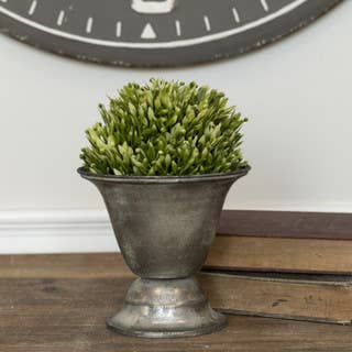 6" Two-Tone Chickweed Half Ball