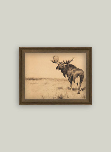 8x10 Bull Moose Framed Art