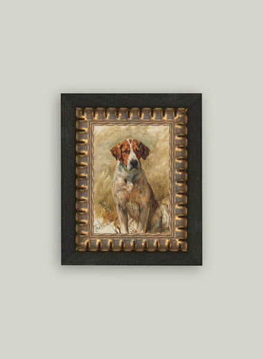5x7 Study of a Hound Framed Art