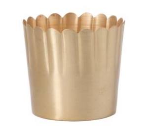 Delicata Pot