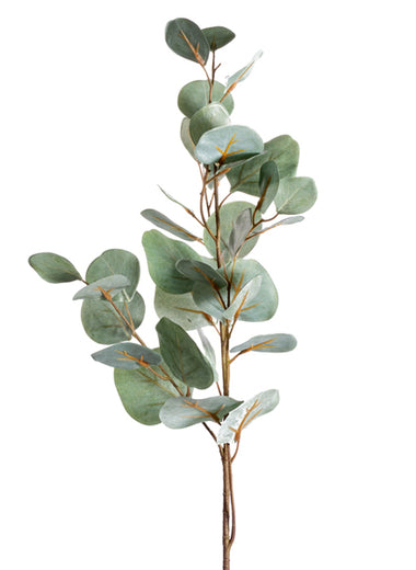 31" Silver Dollar Eucalyptus Stem