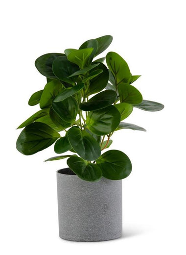 13" Watercress Foliage in Gray Speckled Pot