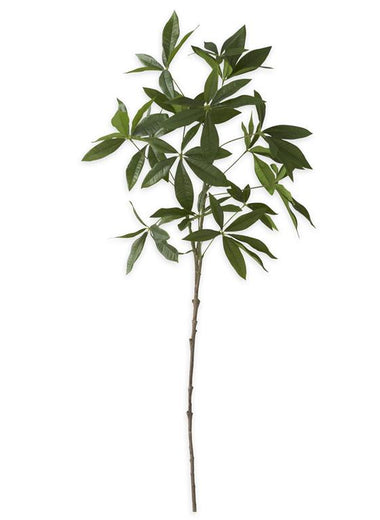 36" Money Tree Branch